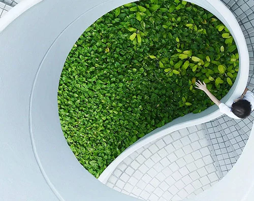 The workplace of the future: smart, sustainable, holistic