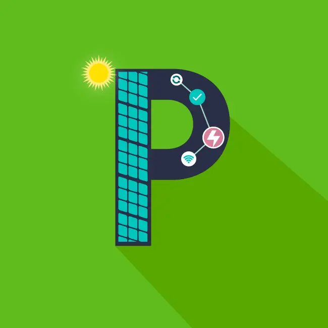 Glossary P