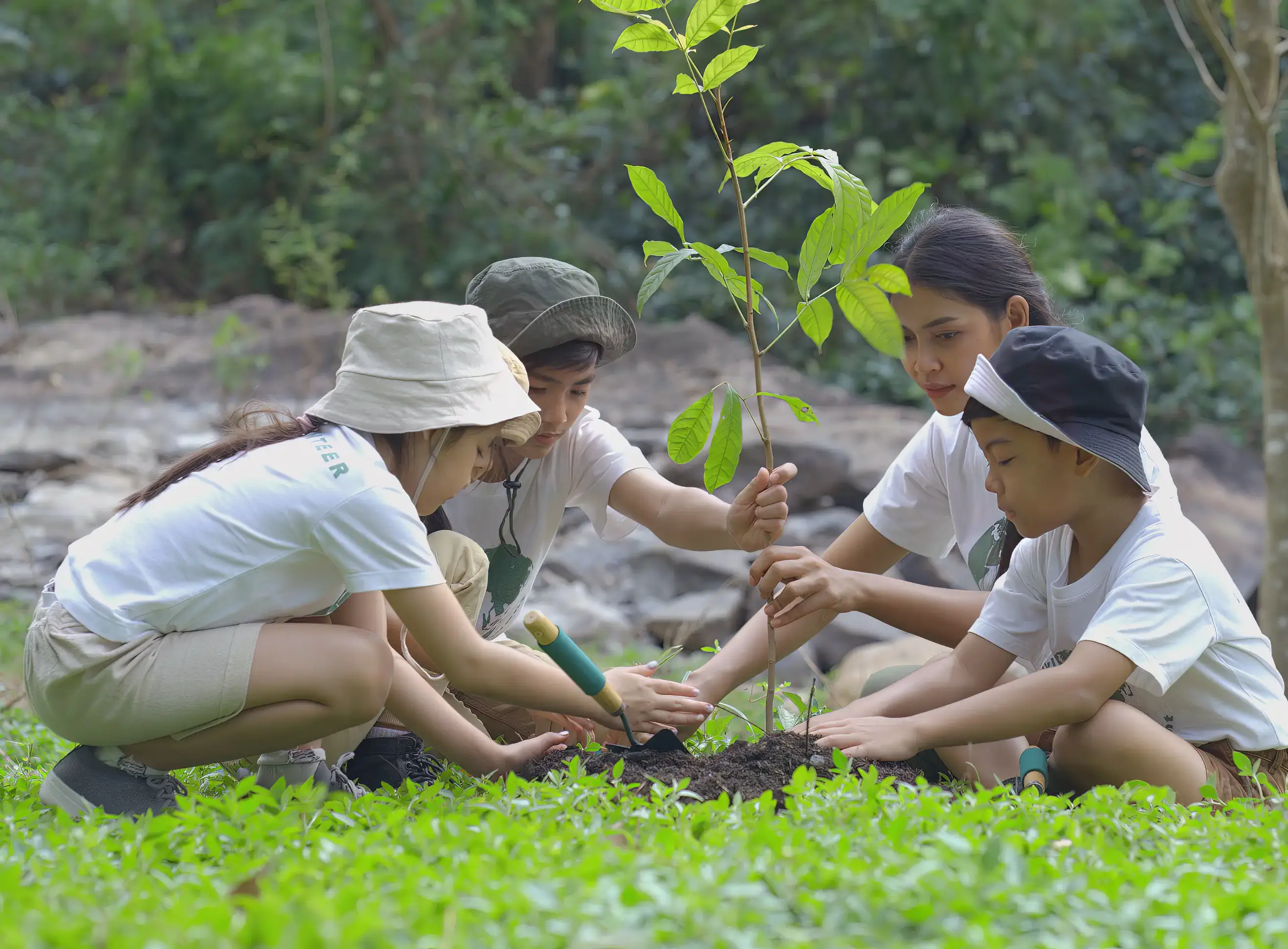 The imperative to Go Green